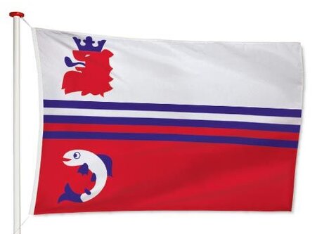 Vlag Neerijnen