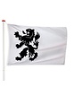 Vlag Noordwijk