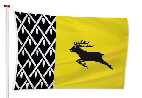 Vlag Nunspeet