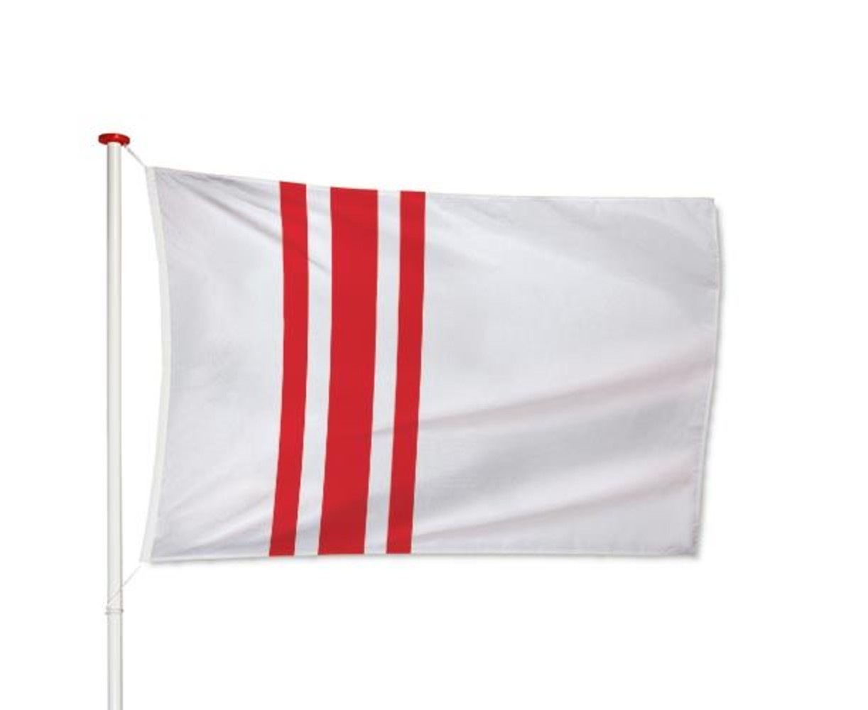 Vlag Oisterwijk