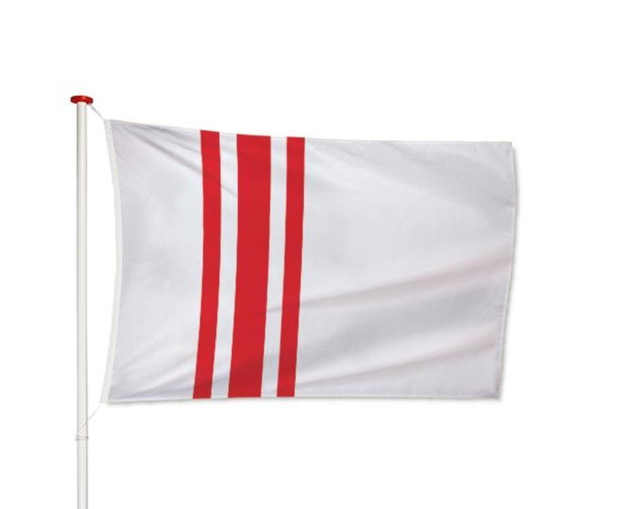 Vlag Oisterwijk