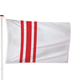 Vlag Oisterwijk