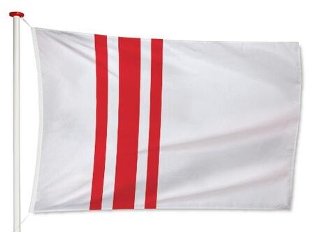 Vlag Oisterwijk