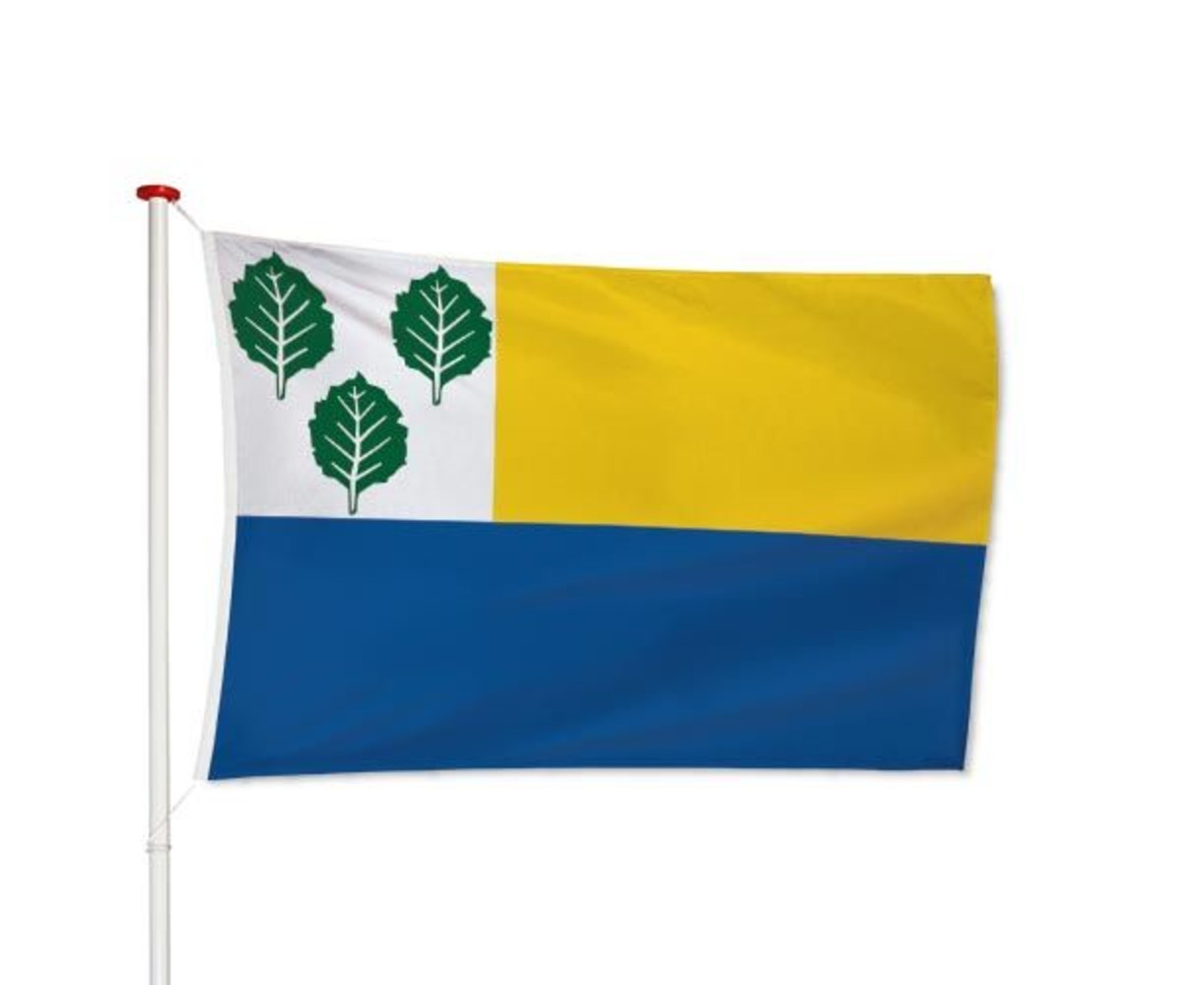 Vlag Oldebroek