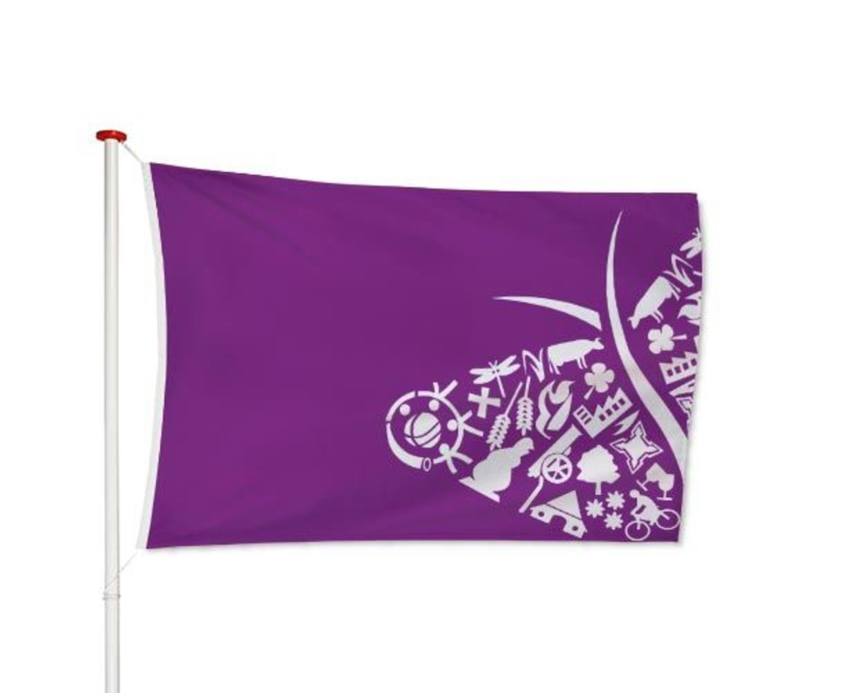 Vlag Oost Gelre