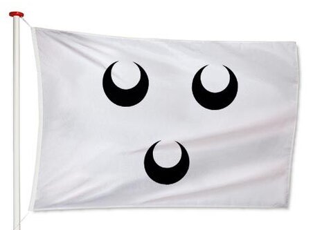 Vlag Oosterhout