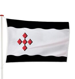 Vlag Peel en Maas