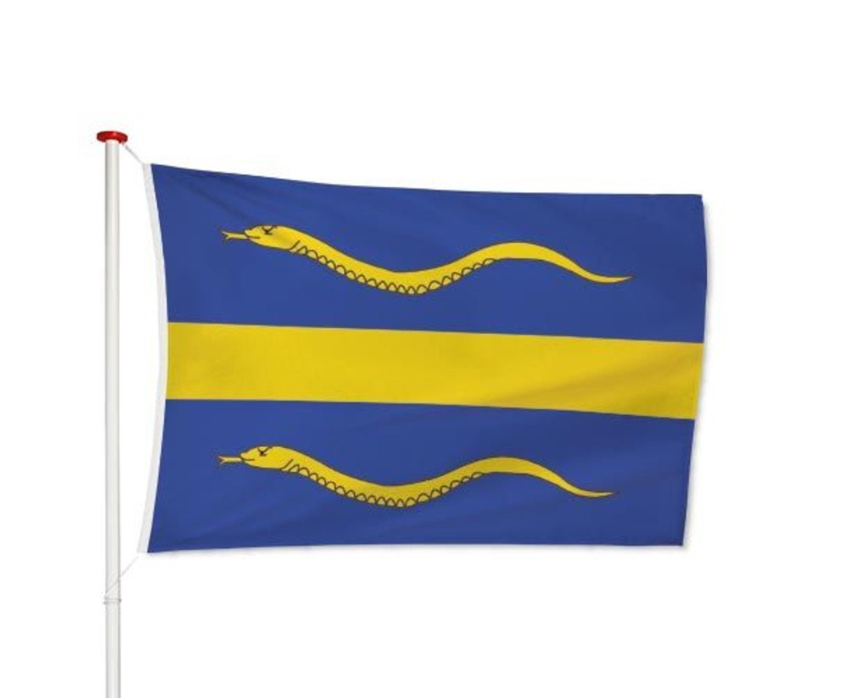 Vlag Pijnacker-Nootdorp