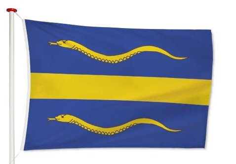 Vlag Pijnacker-Nootdorp