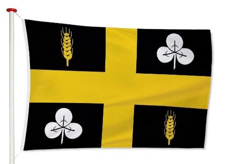 Vlag Raalte