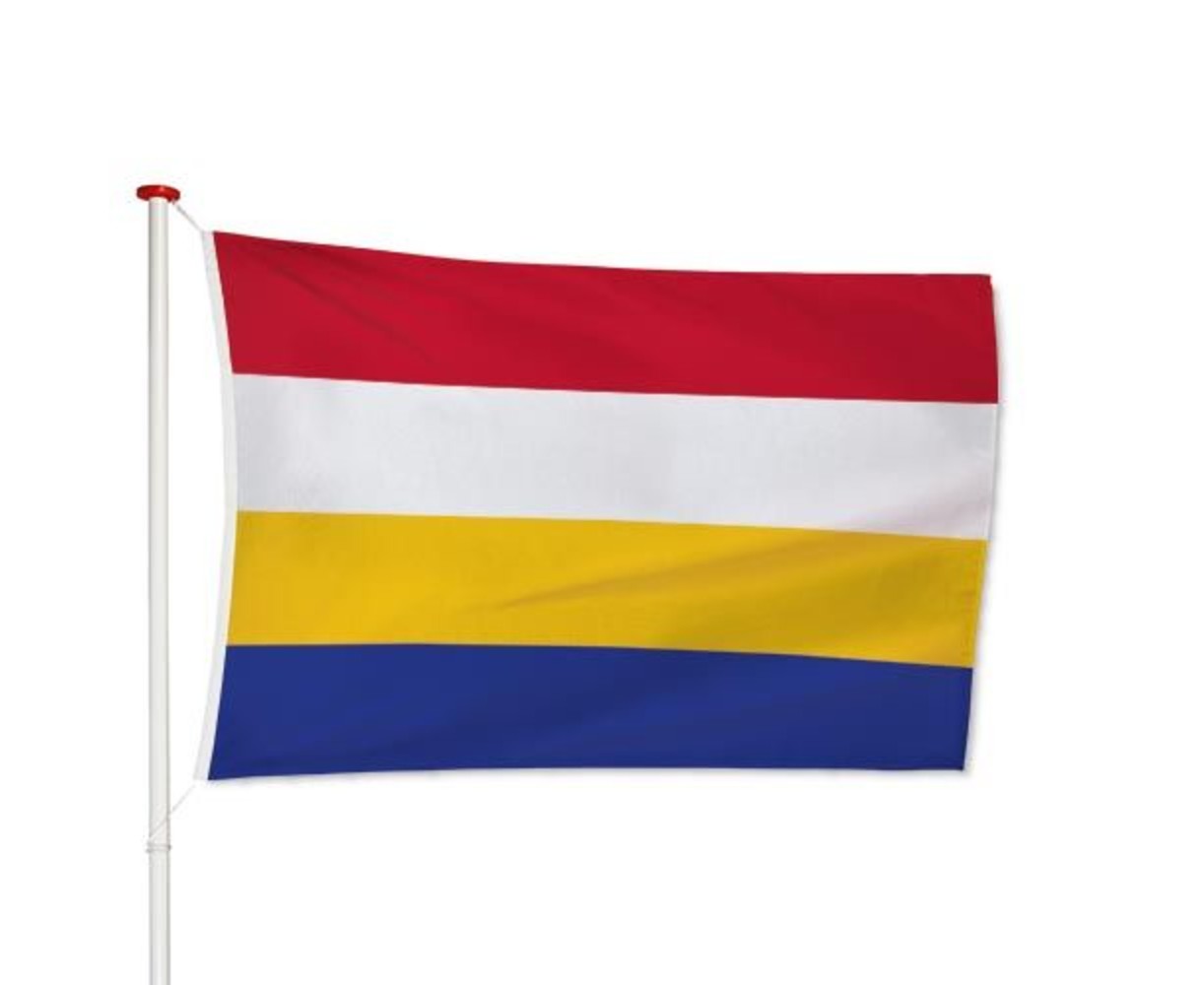 Vlag Renkum