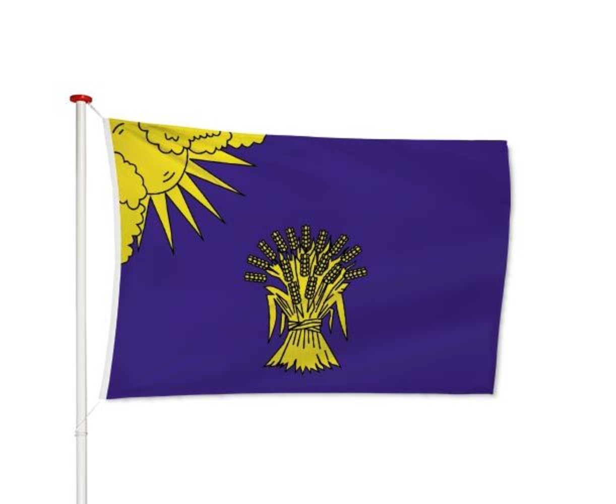 Vlag Reusel-De Mierden