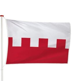 Vlag Rhenen