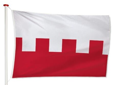 Vlag Rhenen