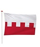 Vlag Rhenen