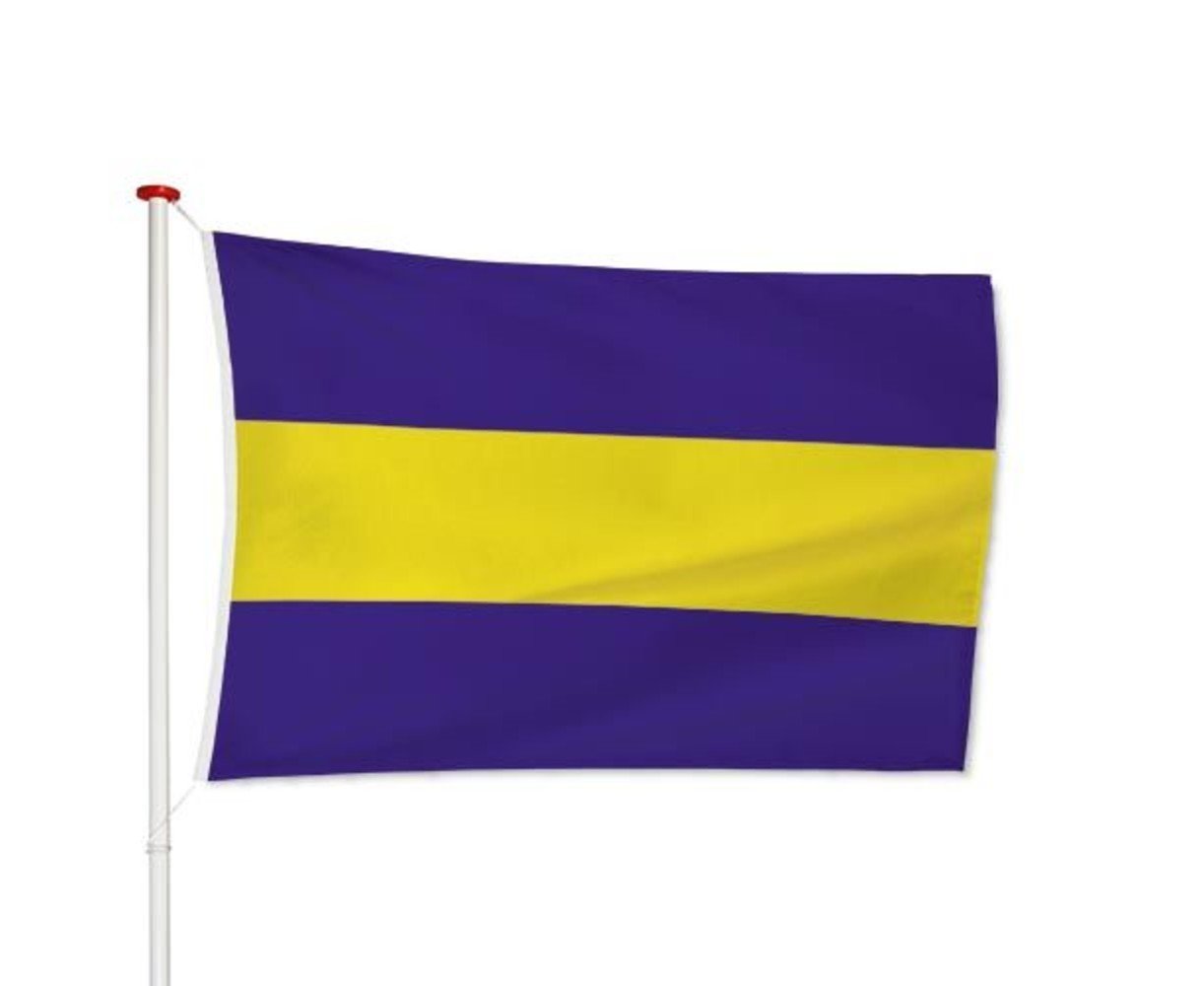 Vlag Rijswijk