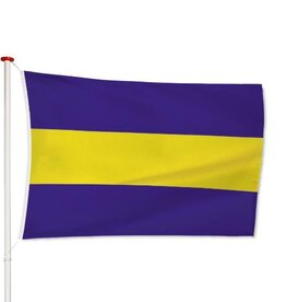 Vlag Rijswijk