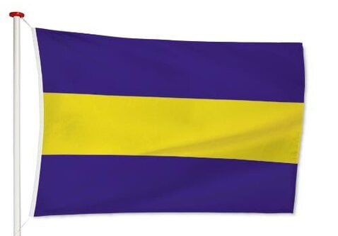 Vlag Rijswijk