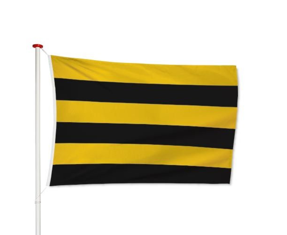 Vlag Schiedam