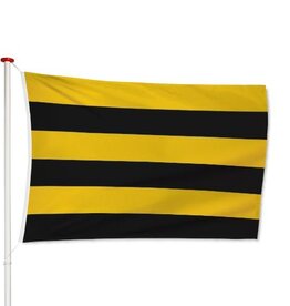 Vlag Schiedam