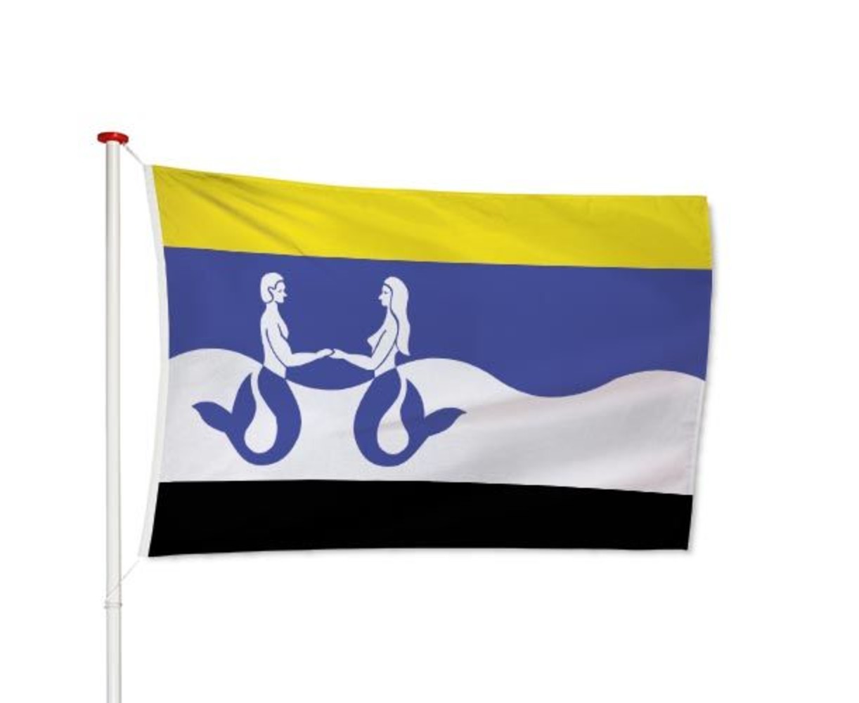 Vlag Schouwen-Duiveland