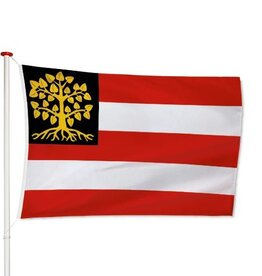 Vlag s-Hertogenbosch