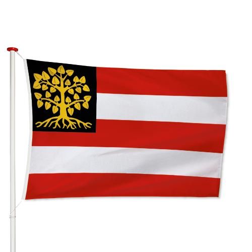 Vlag 's-Hertogenbosch / Den Bosch
