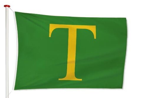 Vlag Sint Anthonis