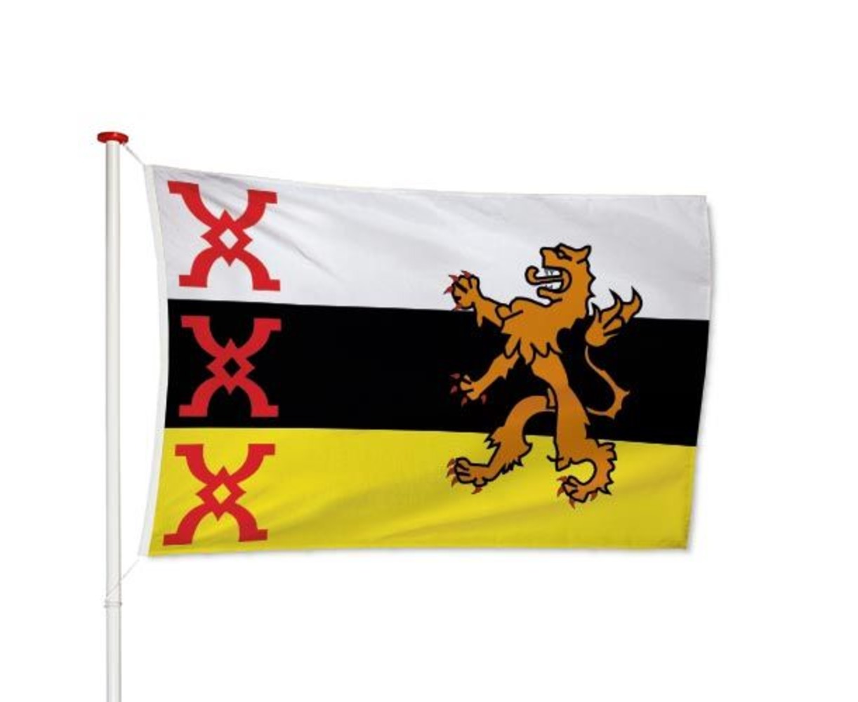 Vlag Someren