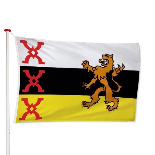 Vlag Someren