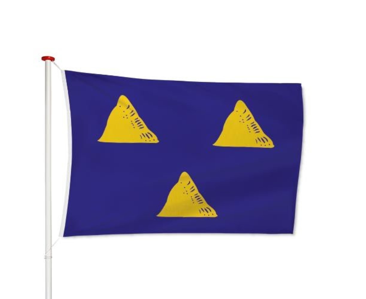Vlag Tubbergen
