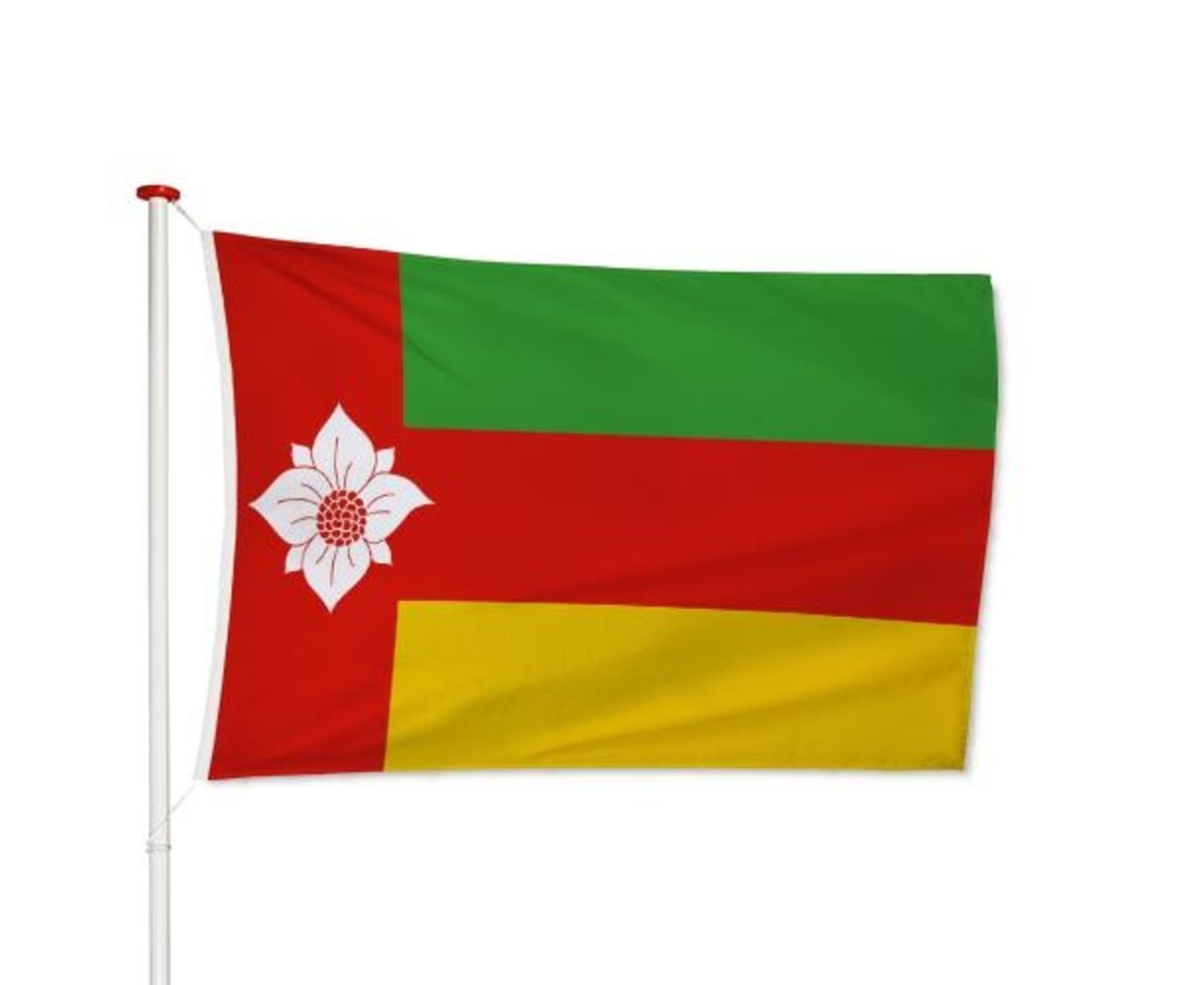 Vlag Tynaarlo