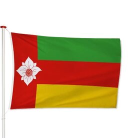 Vlag Tynaarlo