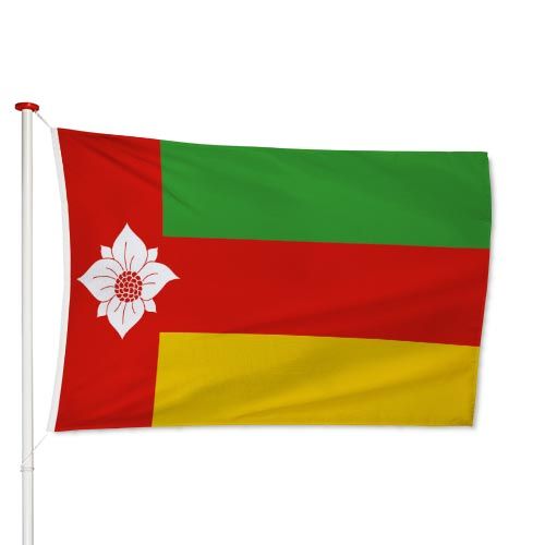 Vlag Tynaarlo