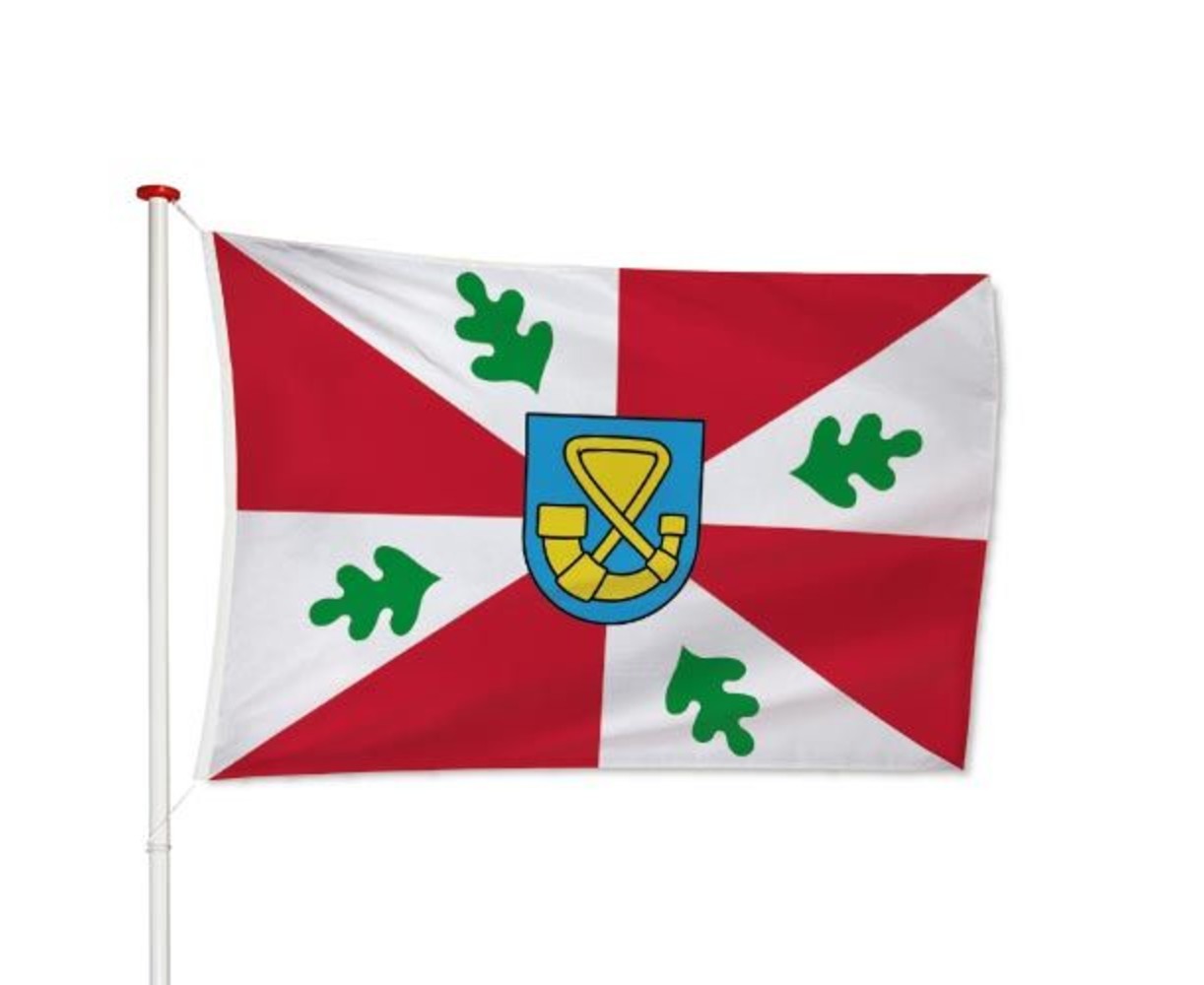 Vlag Tytsjerksteradiel