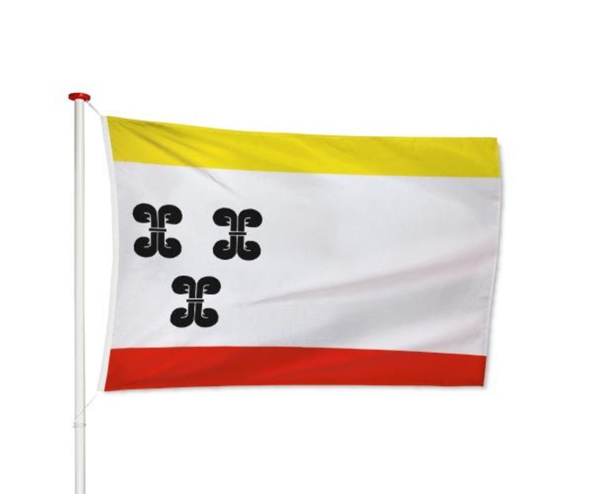 Vlag Vianen Vlag Vianen