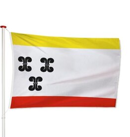 Vlag Vianen