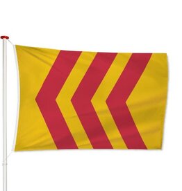 Vlag Voorst