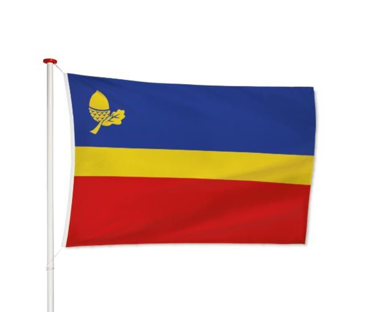 Vlag Waalre