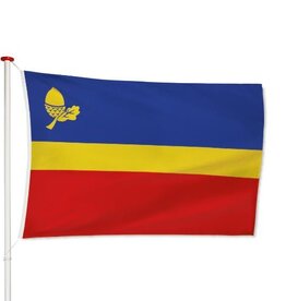 Vlag Waalre