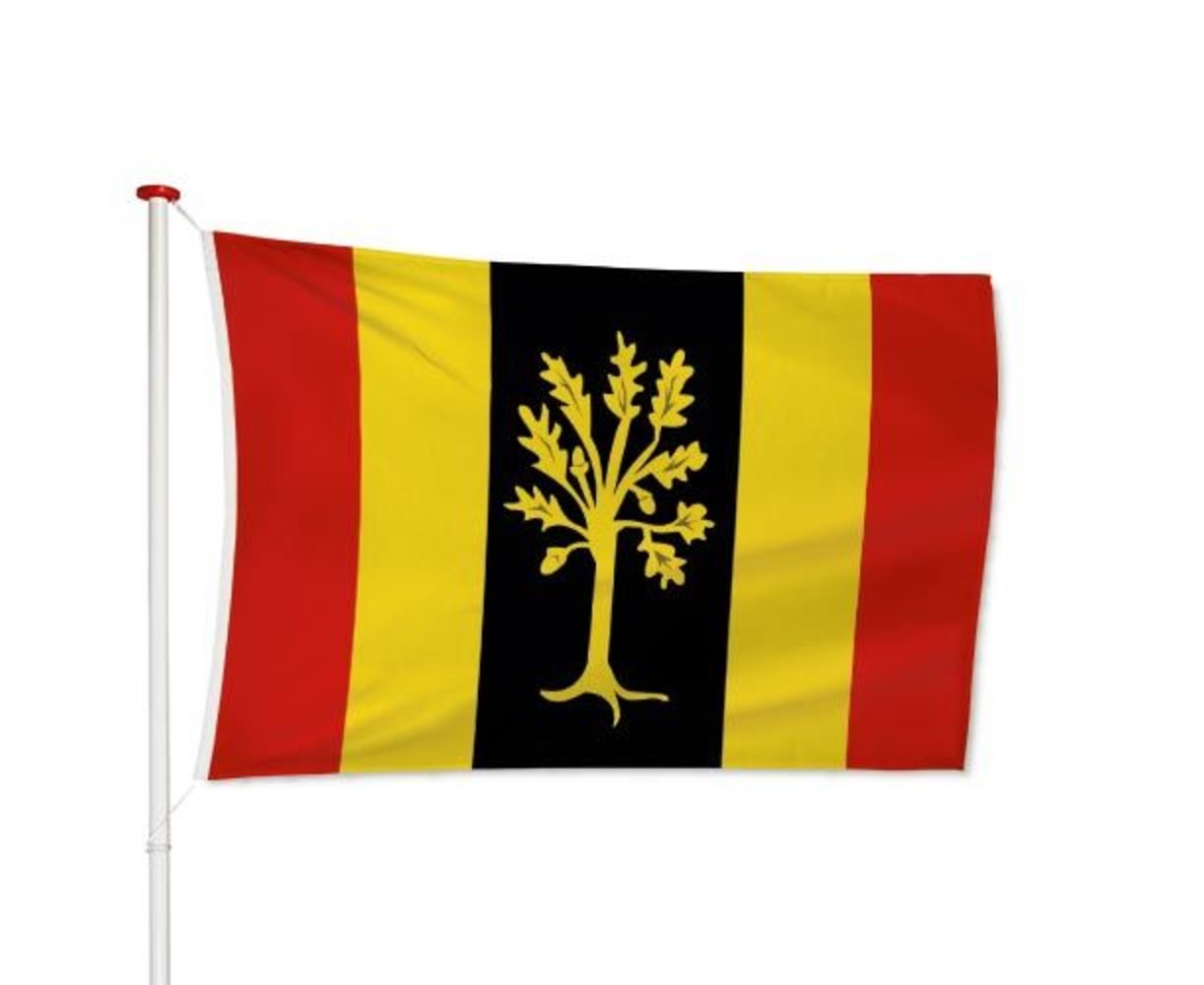 Vlag Waalwijk