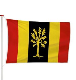 Vlag Waalwijk