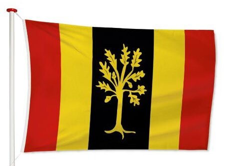Vlag Waalwijk