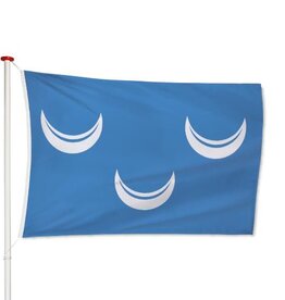 Vlag Wassenaar