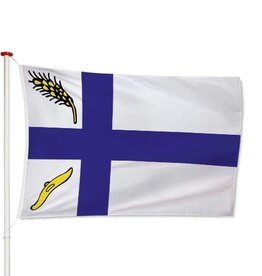 Vlag Wierden