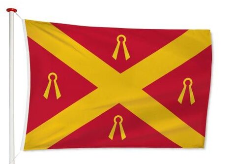 Vlag Wijchen