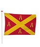 Vlag Wijchen