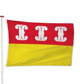 Vlag Wijk bij Duurstede