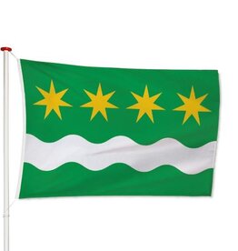 Vlag Winsum