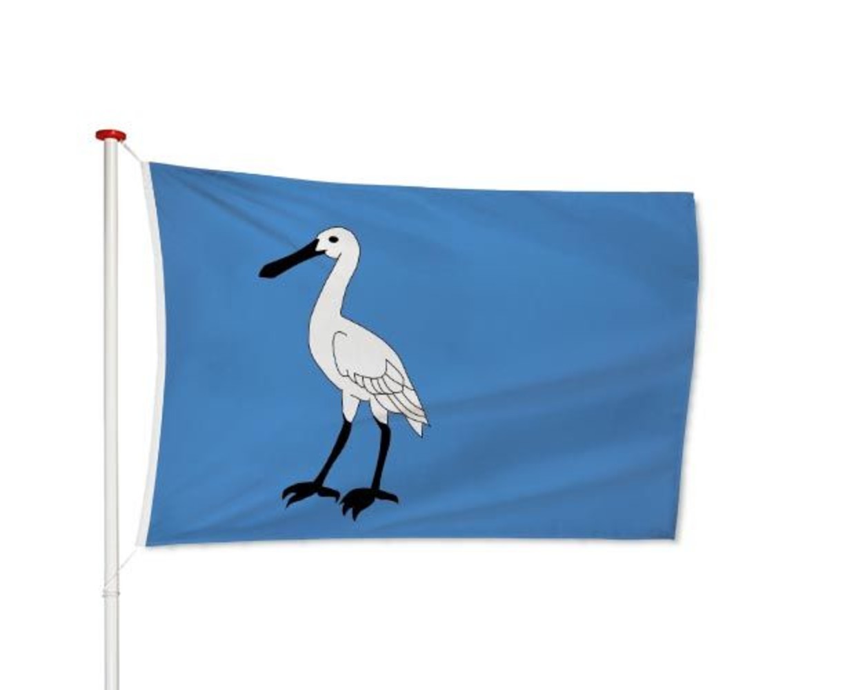 Vlag Wormerland